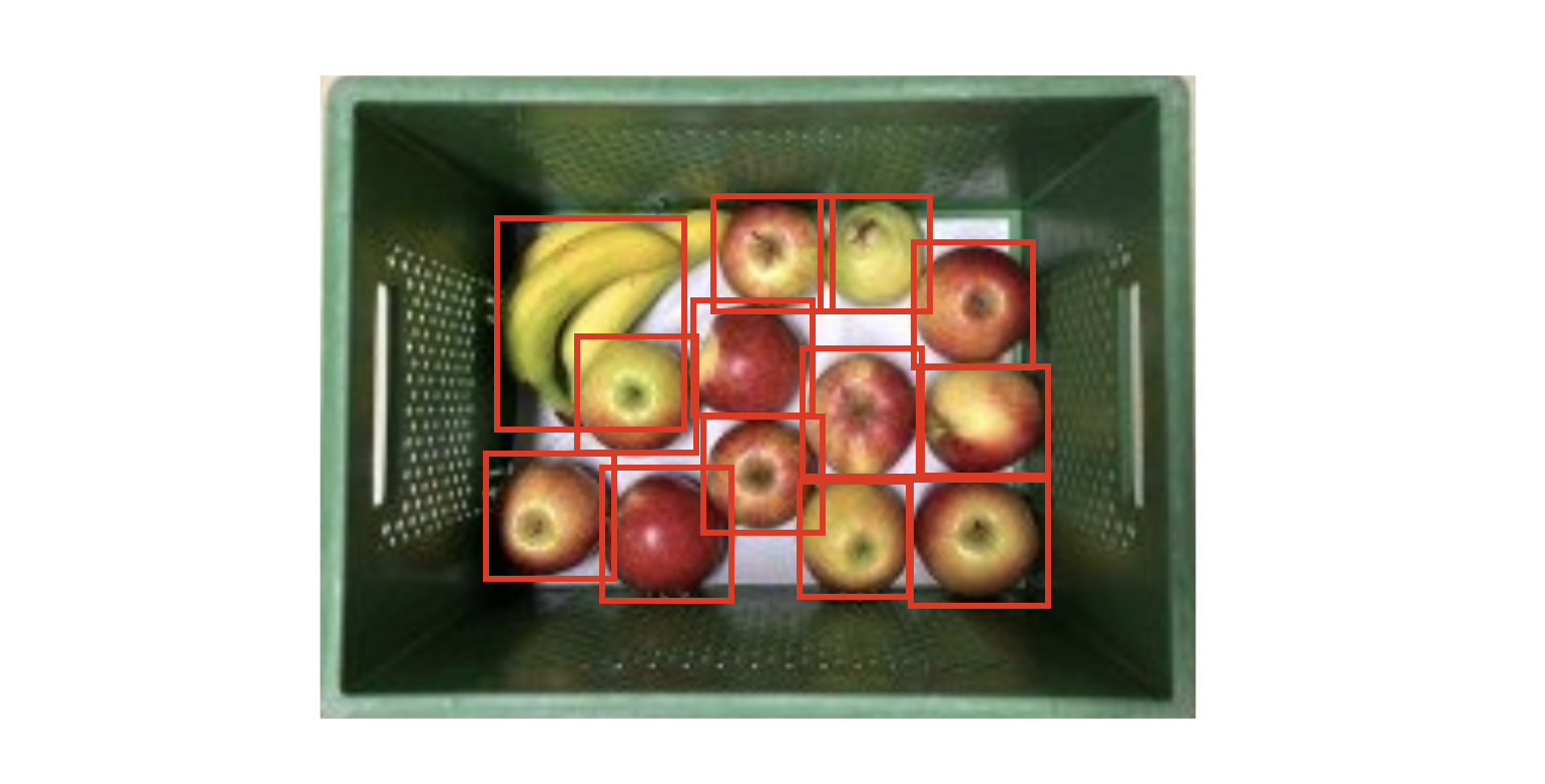 Image of camera's ability classifying objects